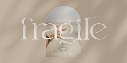 Zn Fragile Font Poster 2