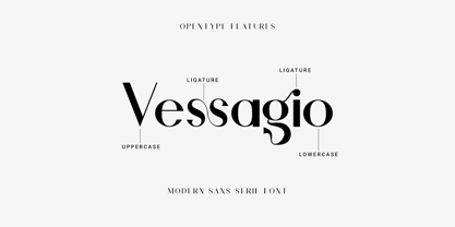 Vessagio Font Poster 8