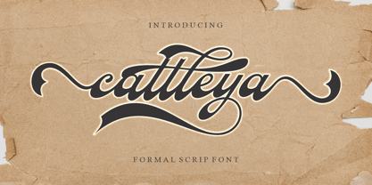 Cattleya Font Poster 1