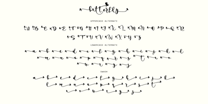 Pretty Butterfly Font Poster 13