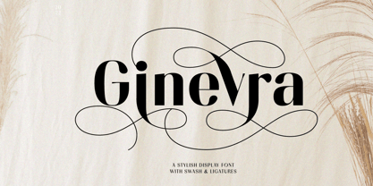 Ginevra Font Poster 1