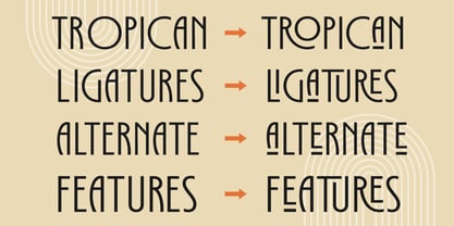 Tropican Font Poster 8