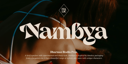 Nambya Font Poster 1