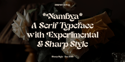 Nambya Font Poster 2