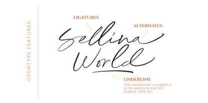 Sellina Word Font Poster 6
