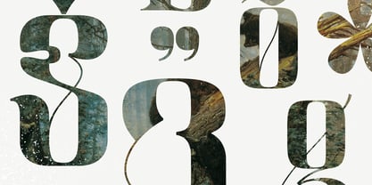 Sogia Font Poster 2