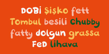 Dobi Hand Font Poster 6