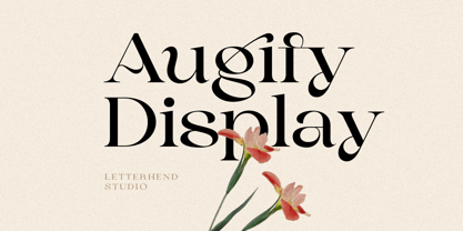 Augify Font Poster 1