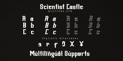 Scientist Castle Font Poster 10