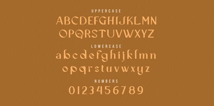 Cecision Font Poster 8