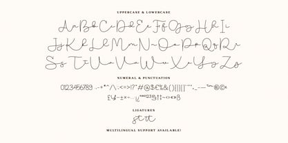Olasthy Script Font Poster 9