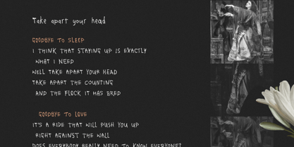 Sad Poem Font | Webfont & Desktop | MyFonts