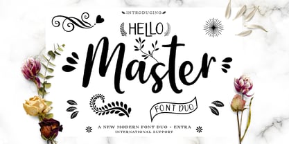 Hello Master Font Poster 1