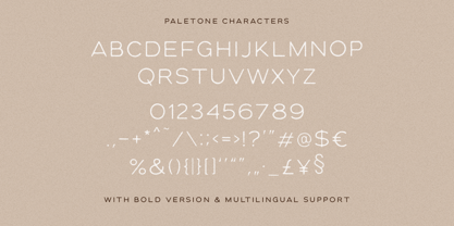 Paletone Font Poster 6