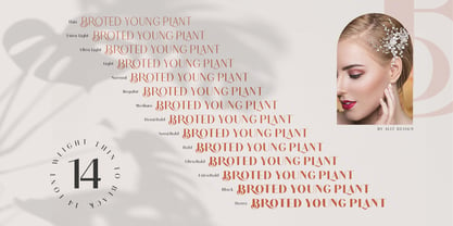 Broted Young Plant Font Poster 11