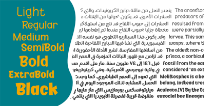 Kidzhood Arabic Font Poster 3