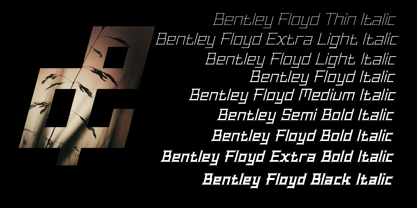Bentley Floyd Police Poster 4