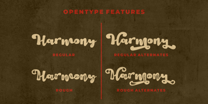 Harmony Vintage Font Poster 10