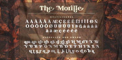 The Morille Font Poster 8