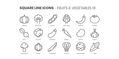 Square Line Icons Food Font Poster 2