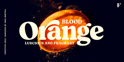 Orange sanguine Police Affiche 1
