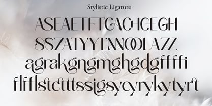 Sikyla Display Font Poster 13