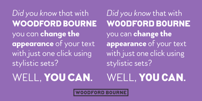 Woodford Bourne Police Affiche 4