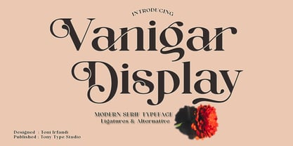 Vanigar Display Font Poster 1