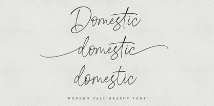 Domestic Script Font Poster 2