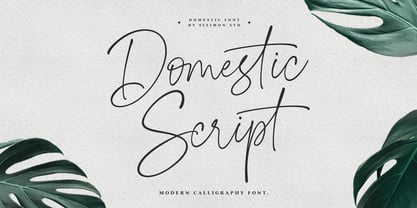 Domestic Script Font Poster 1