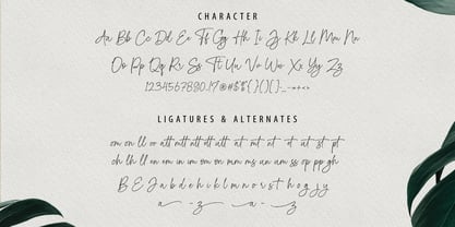 Domestic Script Fuente Póster 11