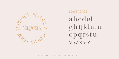 Felousia Font Poster 7