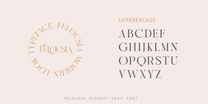 Felousia Font Poster 8