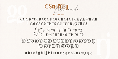 Seriffity Font Poster 6