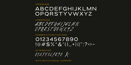 Wicked Culture Font Poster 9