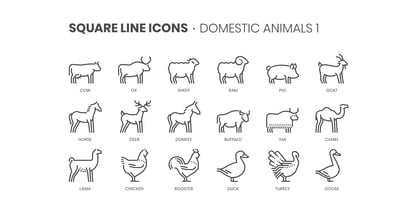 Square Line Icons Animals Font Poster 4