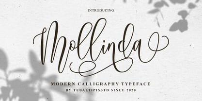 Mollinda Script Font Poster 1