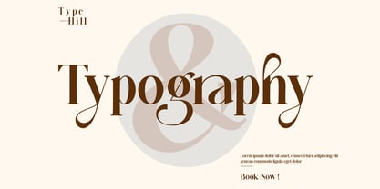 Balgon Serif Font Poster 3