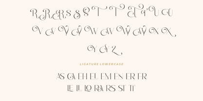 Romantic Serif Fuente Póster 14