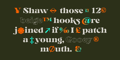 Gegor Font Poster 13