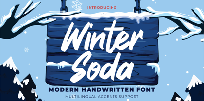 Winter Soda Fuente Póster 1
