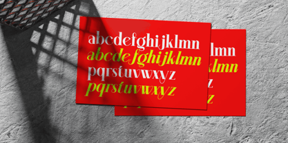 Aleesya Serif Font Poster 11