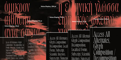Helsa Display Font Poster 4