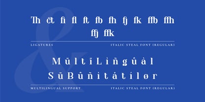 Italic Steal Font Poster 8