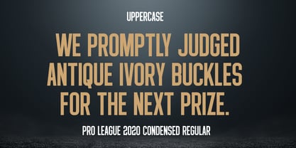 Pro League 2020 Font Poster 4