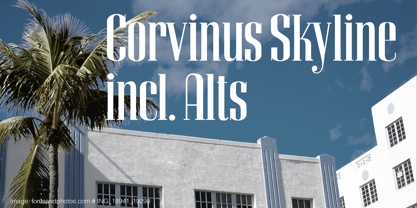 Corvinus Skyline Fuente Póster 1