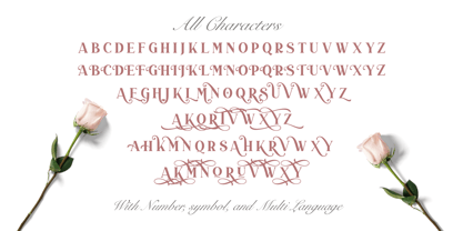 Duarose Serif Font Poster 9