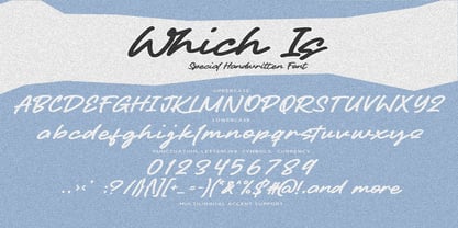 Which Is Font Poster 5