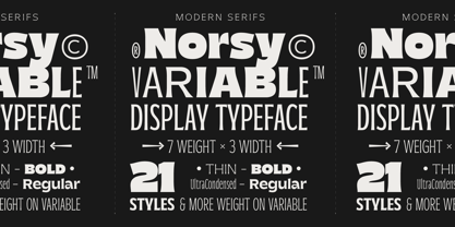 Norsy Font Poster 8