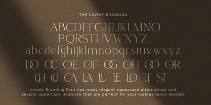 Lovely Branding Font Poster 13